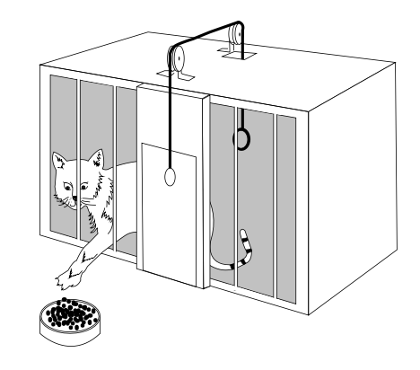 Reinforcement learning research diagram
